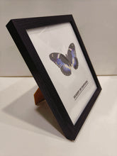 Load image into Gallery viewer, Flight of Fantasia Black Picture Frame for Wall and Tabletop Display, Resistant Plastic Photo Picture Frame with Clear Plexiglass for Vertical or Horizontal Display