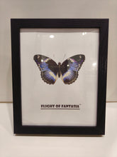 Load image into Gallery viewer, Flight of Fantasia Black Picture Frame for Wall and Tabletop Display, Resistant Plastic Photo Picture Frame with Clear Plexiglass for Vertical or Horizontal Display