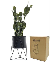 Load image into Gallery viewer, CARRUN Metal Plant stand with Flowe Pot, Iron Plant Pot Holder, Plant Pot Stand for Garden, Home, Table, Office