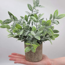 Load image into Gallery viewer, Artificial Potted Plants - Mini Fake Plants – Set of 3 Small Indoor Faux Houseplants for Shelf Tabletop Desk Decoration - Eucalyptus - Rosemary - Boxwood - Greenery in Pots - 9” Tall Plant in Pot