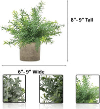 Load image into Gallery viewer, Artificial Potted Plants - Mini Fake Plants – Set of 3 Small Indoor Faux Houseplants for Shelf Tabletop Desk Decoration - Eucalyptus - Rosemary - Boxwood - Greenery in Pots - 9” Tall Plant in Pot