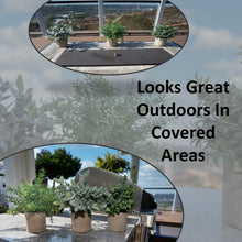 Load image into Gallery viewer, Artificial Potted Plants - Mini Fake Plants – Set of 3 Small Indoor Faux Houseplants for Shelf Tabletop Desk Decoration - Eucalyptus - Rosemary - Boxwood - Greenery in Pots - 9” Tall Plant in Pot