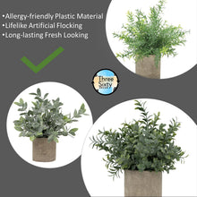 Load image into Gallery viewer, Artificial Potted Plants - Mini Fake Plants – Set of 3 Small Indoor Faux Houseplants for Shelf Tabletop Desk Decoration - Eucalyptus - Rosemary - Boxwood - Greenery in Pots - 9” Tall Plant in Pot