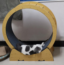 Load image into Gallery viewer, SIAITTE Pet Silent Exercise Fitness Solid Wood Treadmill