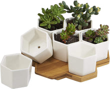 Load image into Gallery viewer, FLOWERPLUS Planter Pots Indoor, 7 Pack 2.75 Inch Modern White Ceramic Small Hex Succulent Cactus Flower Plant Pot with Bamboo Tray for Indoors Outdoor Office Home Garden Kitchen Decor (Hexagon)