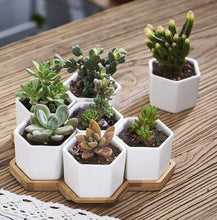 Load image into Gallery viewer, FLOWERPLUS Planter Pots Indoor, 7 Pack 2.75 Inch Modern White Ceramic Small Hex Succulent Cactus Flower Plant Pot with Bamboo Tray for Indoors Outdoor Office Home Garden Kitchen Decor (Hexagon)