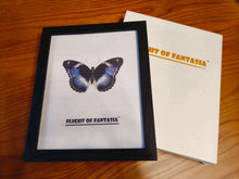 Load image into Gallery viewer, Flight of Fantasia Black Picture Frame for Wall and Tabletop Display, Resistant Plastic Photo Picture Frame with Clear Plexiglass for Vertical or Horizontal Display
