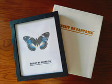 Load image into Gallery viewer, Flight of Fantasia Black Picture Frame for Wall and Tabletop Display, Resistant Plastic Photo Picture Frame with Clear Plexiglass for Vertical or Horizontal Display
