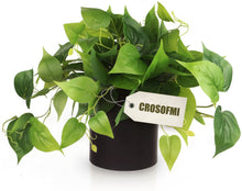 Load image into Gallery viewer, CROSOFMI Artificial Plants for Home Decor Indoor, Artificial Plant for Indoor House, Office - Modern Decoration
