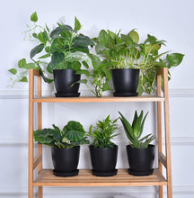 Load image into Gallery viewer, Luckystatue-E Flower Pots with Drainage Hole and Trays, Modern Decorative Gardening Pots, Suitable for Indoor and Outdoor, All House Plants
