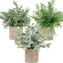 Load image into Gallery viewer, Artificial Potted Plants - Mini Fake Plants – Set of 3 Small Indoor Faux Houseplants for Shelf Tabletop Desk Decoration - Eucalyptus - Rosemary - Boxwood - Greenery in Pots - 9” Tall Plant in Pot
