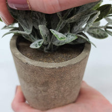 Load image into Gallery viewer, Artificial Potted Plants - Mini Fake Plants – Set of 3 Small Indoor Faux Houseplants for Shelf Tabletop Desk Decoration - Eucalyptus - Rosemary - Boxwood - Greenery in Pots - 9” Tall Plant in Pot
