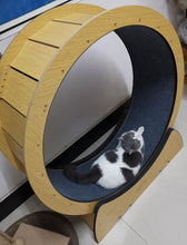 Load image into Gallery viewer, SIAITTE Pet Silent Exercise Fitness Solid Wood Treadmill
