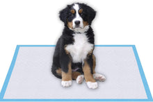 Load image into Gallery viewer, Lannso Pet Dog and Puppy Training Pads Pee Pads Super Absorbent Quick Drying No Leaking Large Size Pads for Dogs Cats Rabbits Pets Potty Pads
