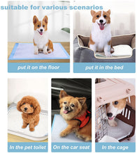 Load image into Gallery viewer, Lannso Pet Dog and Puppy Training Pads Pee Pads Super Absorbent Quick Drying No Leaking Large Size Pads for Dogs Cats Rabbits Pets Potty Pads
